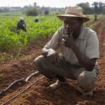 farm-inputs-2 farm-inputs-2
